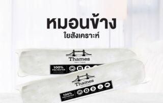 หมอนข้าง Archives - โปรโมชั่น โค้ดส่วนลด 4289