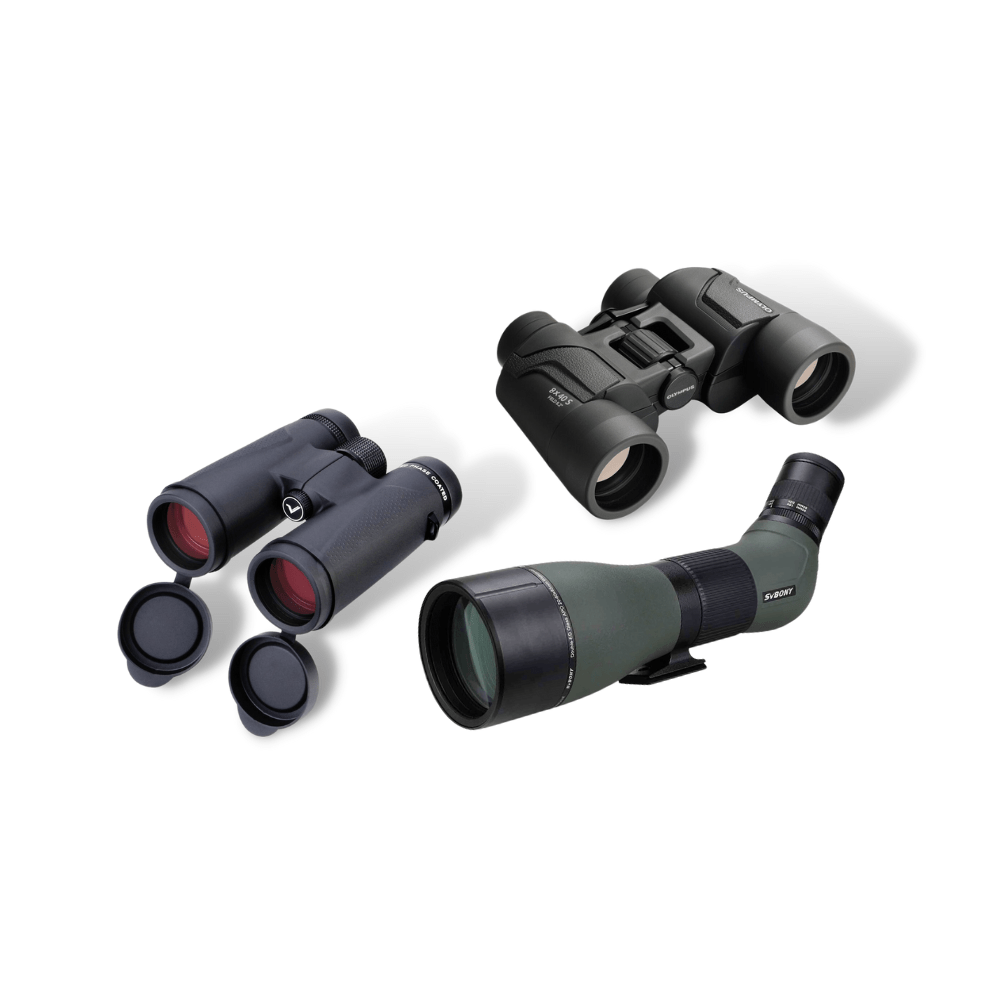 10 2024   Top 10 Binoculars 